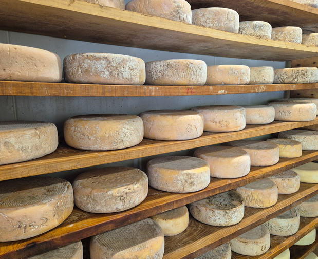 Charcuterie des Pyrénées, Fromage fermier des Pyrénées, Ossau Iraty fermier, Salaison artisanale du Béarn, Yaourth fermier des Pyrénées