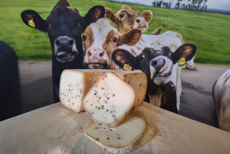 Charcuterie des Pyrénées, Fromage fermier des Pyrénées, Ossau Iraty fermier, Salaison artisanale du Béarn, Yaourth fermier des Pyrénées